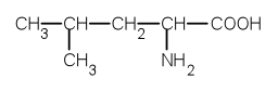 chemická struktura