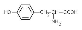 chemická struktura